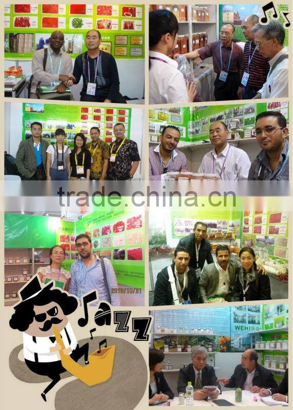 Manufacturer comapany supplying No.1 Selling in Uk market Ex. Hot Chilli Flakes , Chilli Crushed, Chilli Granules, Chilli Powde