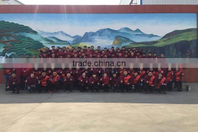 HDG Dual Car box trailer for sale