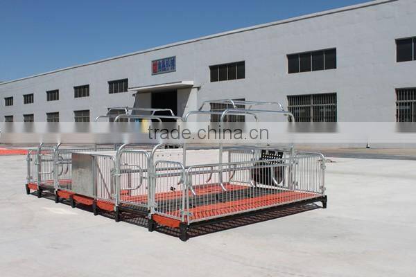 pig farming breeding equipment/ gestation cage/pig cage/Monomer sty/pig stall/sow single stall/nursery stall/farrowing cage