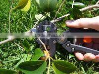 Grafting tool grafting knife garden tool