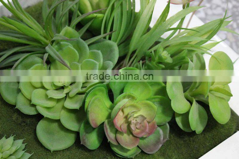 modular green wall china factory fire resistance vertical green wall