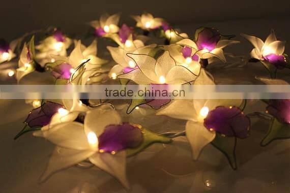 Warm White Operated LED String Lights
