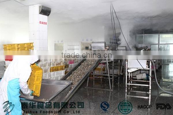 Seafood Importer Clam Meat Shellfish Seafood Frozen