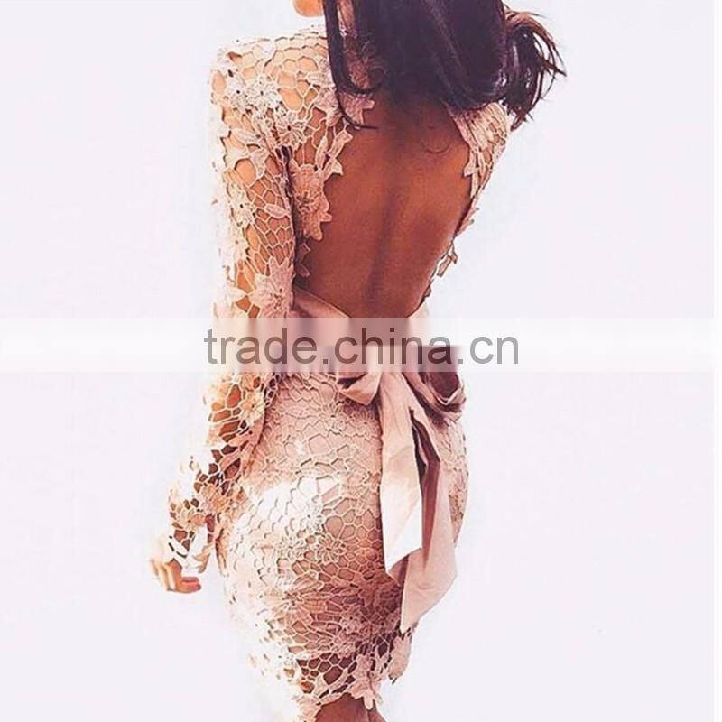 Runwaylover 092 New Style 2017 Ladies Sexy Lace Transparent Party Dress