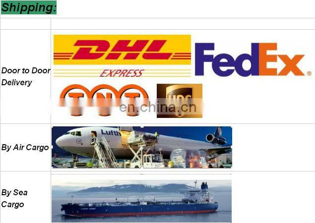 Leather patch logo 5 panel baseball cap custom back strap 5panel cap and hat