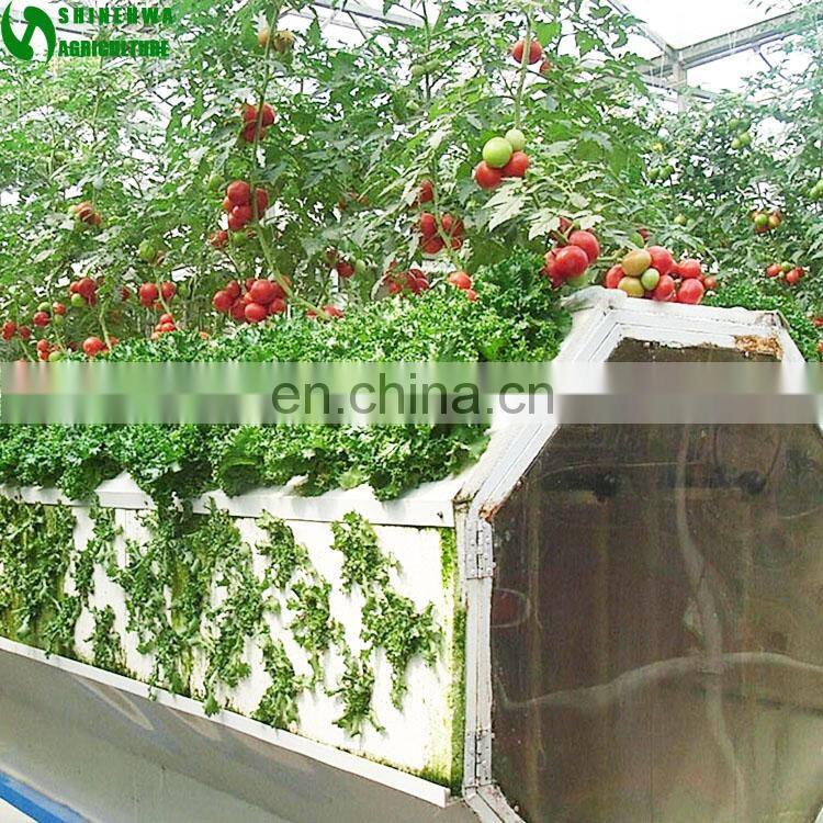 Agricultural Greenhouse Wall Hydroponic Growing Systems