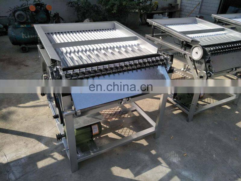 Taizy Industrial Automatic Green Pigeon Peas Peeler Peeling Shelling Machine