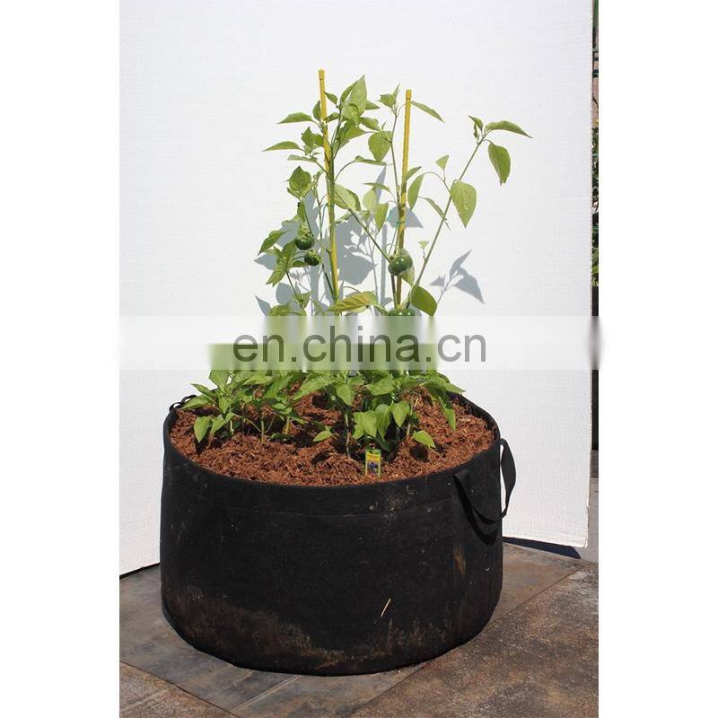 1 3 5 10 15 20 gallon Felt Grow Bag for Plant Pot Fabric Planter