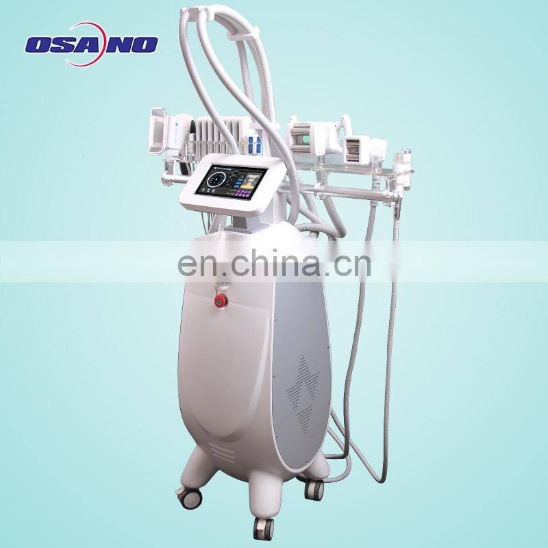Most Effective frozen beauty equipment lipocryo machine with cavitation/lipo laser/criolipolisys