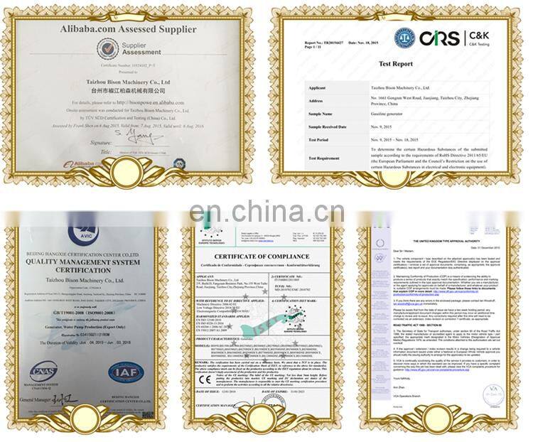 BISON(CHINA) Portable 2KW BS2500 Portable Gasoline Generator