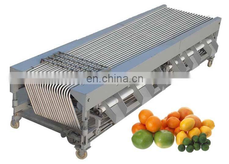 Fruit And Vegetable Sorting/Grading Machine.