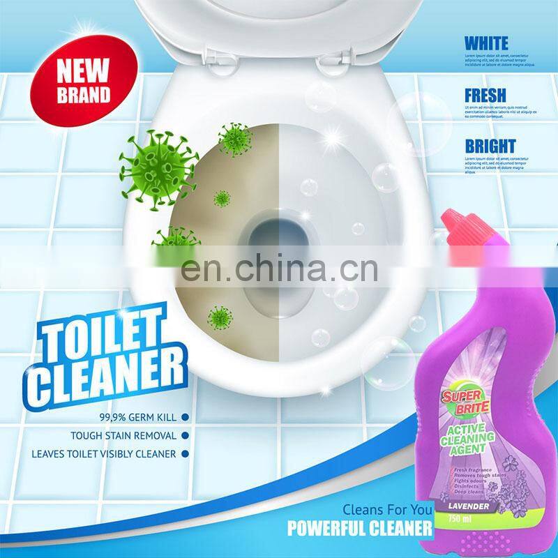 750ML Bath Tub Cleaning Liquid Detergent, Toilet Bowl Cleaner washroom Cleaning Antiseptic Solutions