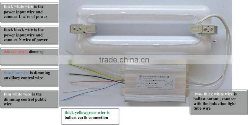 dimmer induction lamp