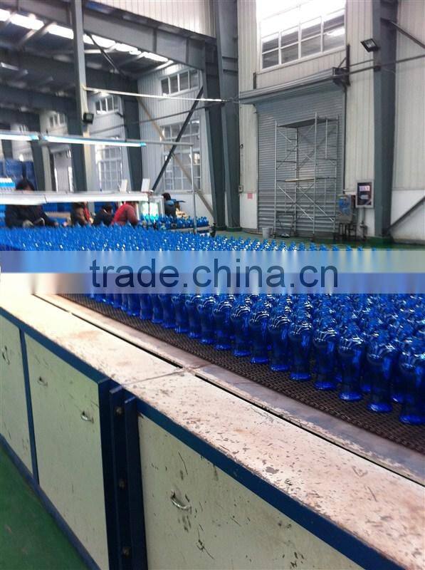 Customized glass bottles Shaped glass bottles Jam bottles Condiment bottles Food bottles