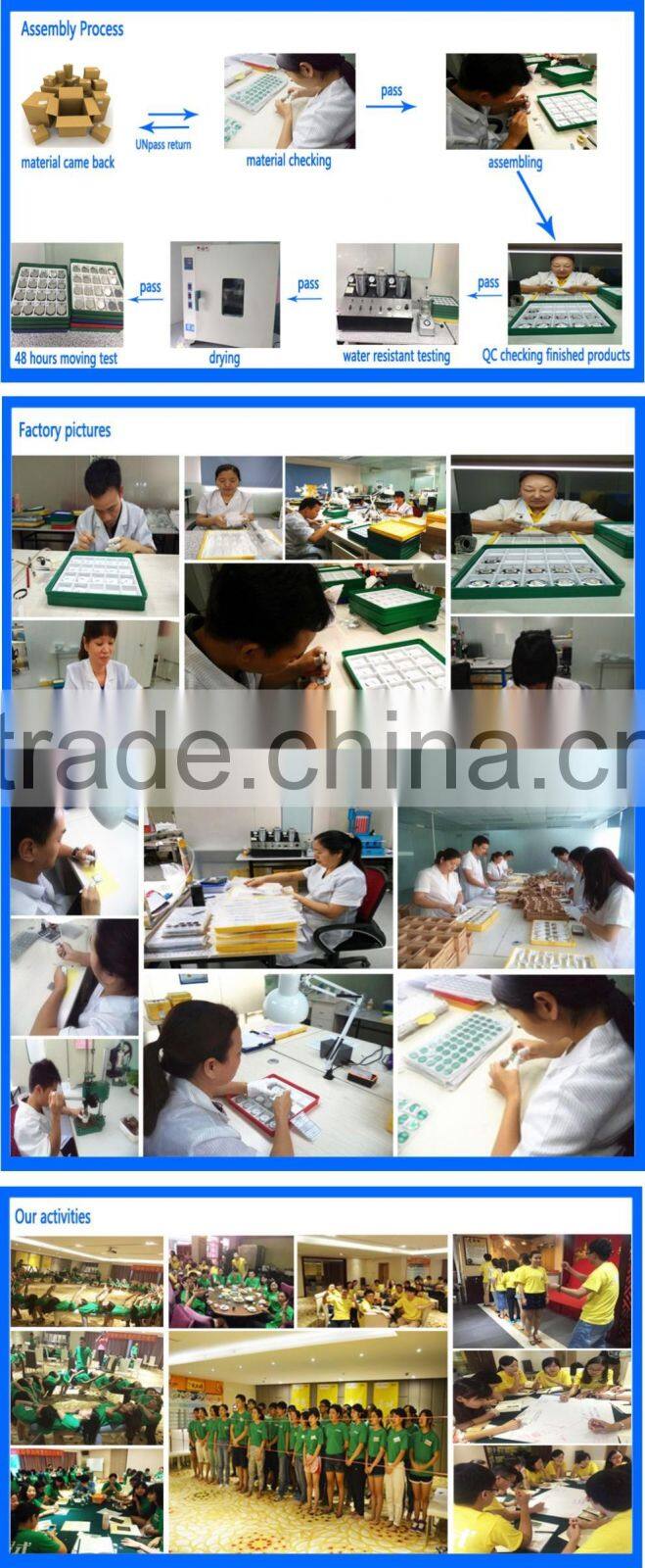 Best Luxury Regal Gold Winner Watches Shenzhen Cocean Timepiece Wrist Watch