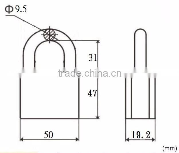 Taiwan Interchangeable Cylinder 50mm Aluminum Padlock