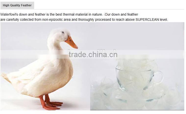 233TC 100% Cotton White Duck Down Duvet
