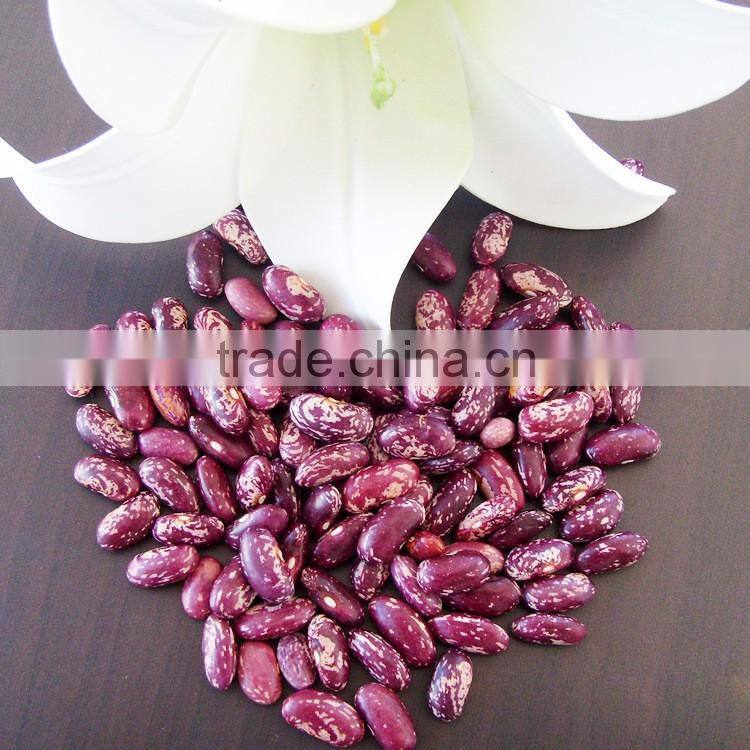 Private Label Organic Hulled Hemp Seed,Hemp Seeds,Shelled Hemp Seeds