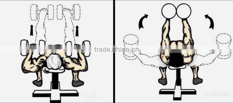 PU dumbbell with chormed end plate manufacturers in china