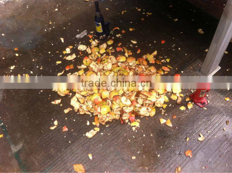 Pomegranate seed and juice machine