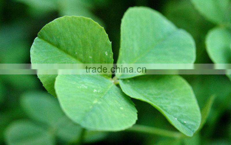 Profoot Heel Insole Snugs Shoe Support Pads Ankle Liners