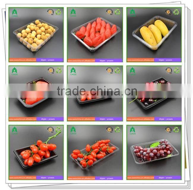 Disposible plastic food PET tray/strawberry/blueberry clamshell tray 16*16 cm
