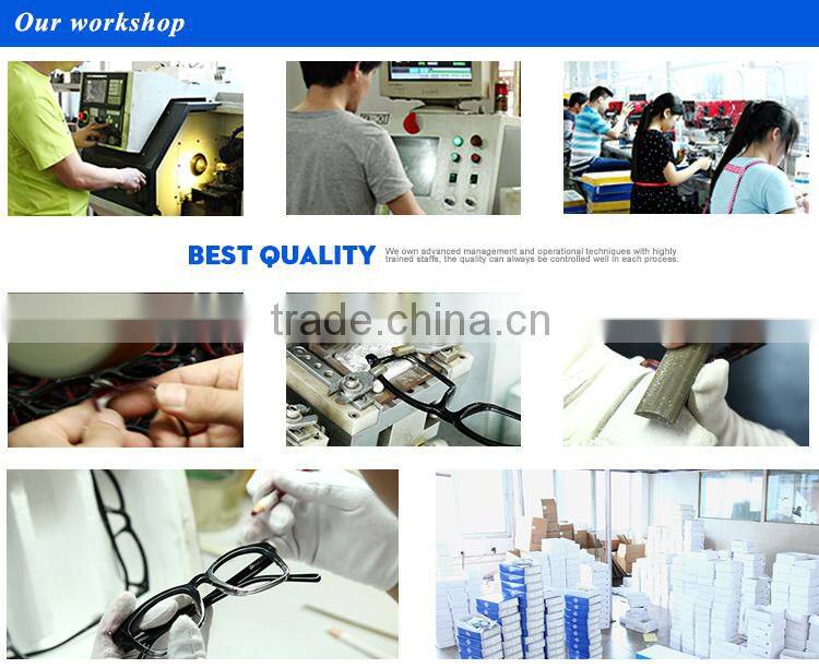 2015 OEM New wholesale polar eagle polarized sunglasses