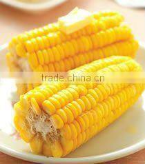 revolve type roasts corn machine,automatic machine