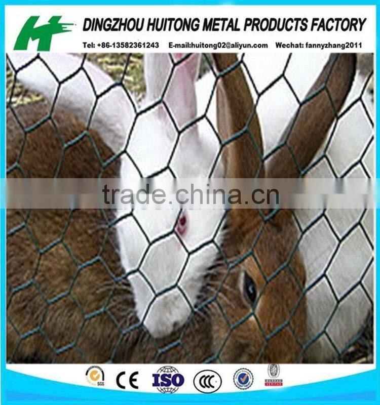 pvc coated hexagonal wire netting/chicken mesh/rabbit netting