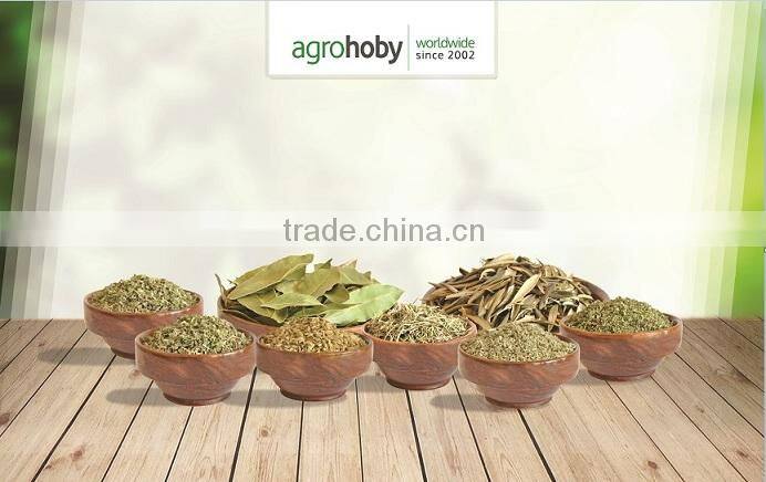 Turkish Rosemary Best Quality