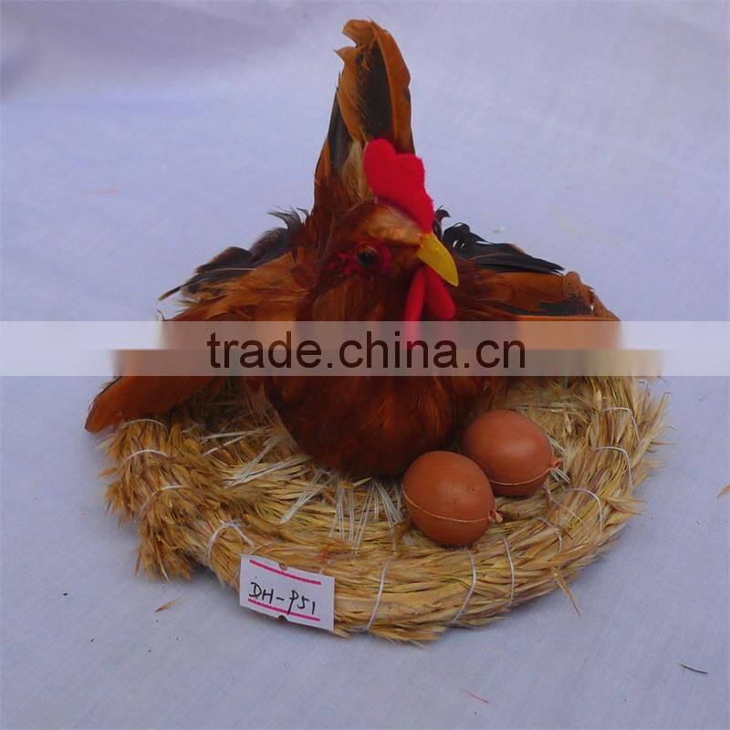 The cute Thanksgiving feather Chicken