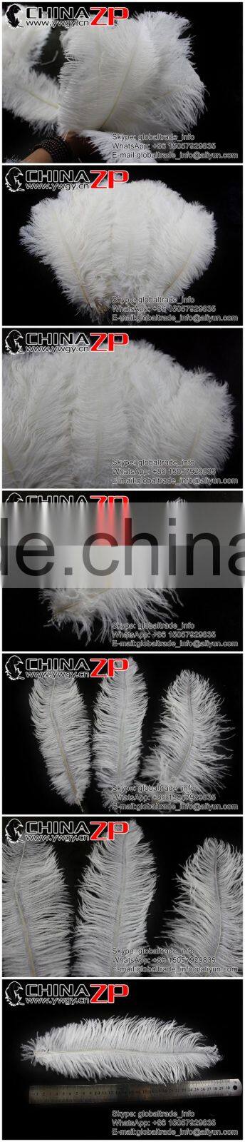 CHINAZP Trade Assurance Gold Supplier Size Frcom 20inch to 22inch white Ostrich Feather for Wedding Centerpiece