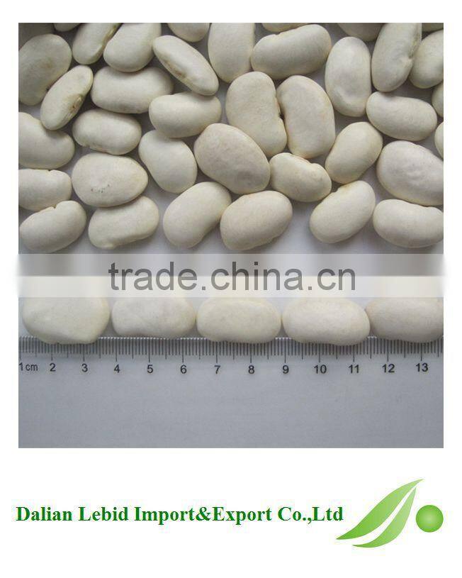 All Kinds Of Beans Cooking White beans 2016 Crop Wholesale