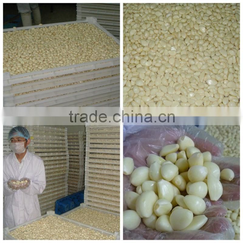 Peeled Garlic Vacuum Pack for Europe Market