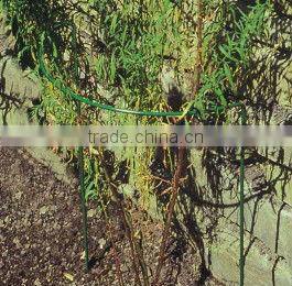 garden plant support
