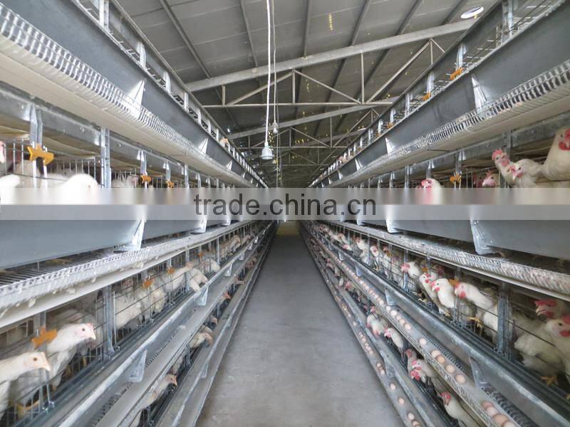 chicken cage for poultry farm for nigeria with best price