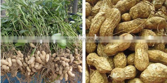 small electric Groundnut picker/Peanut picking machine