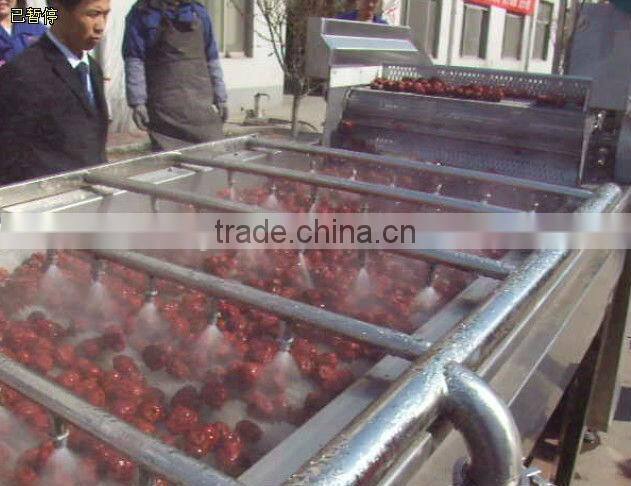 jujube production line/date processing line for high capacity