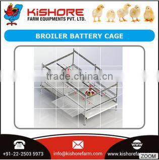 Indigenously Designed Broiler Battery Cage for Sale
