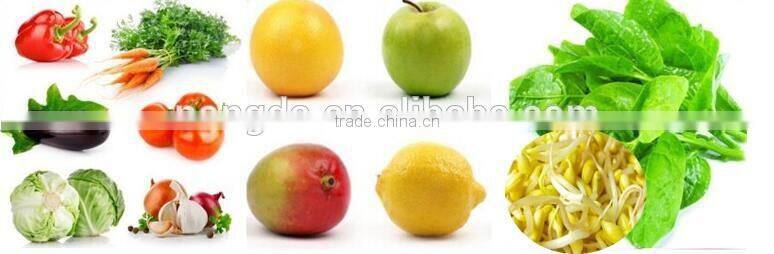 commercial fruit and vegetable washer and dryer