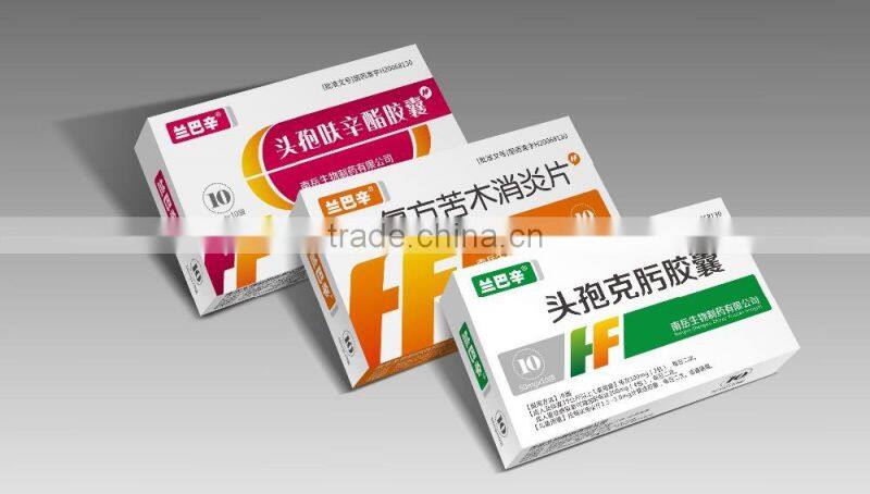 High Quality DZ-120B Automatic Cartoning Machine Vertical for Blister