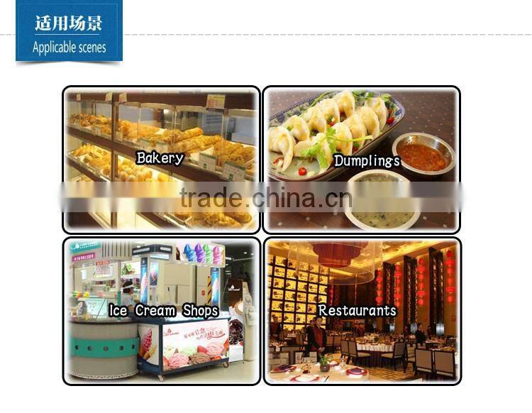 Quick Freezing Equipment (Vegetable Freezer Machine)