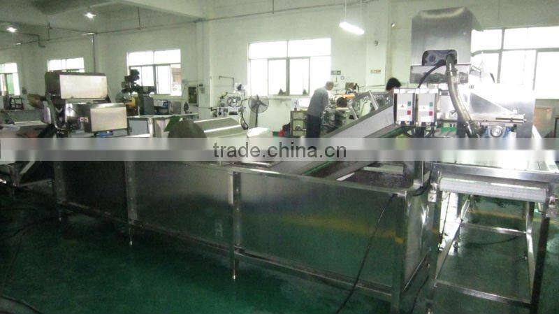 Washing cutting vegetable production line (video)