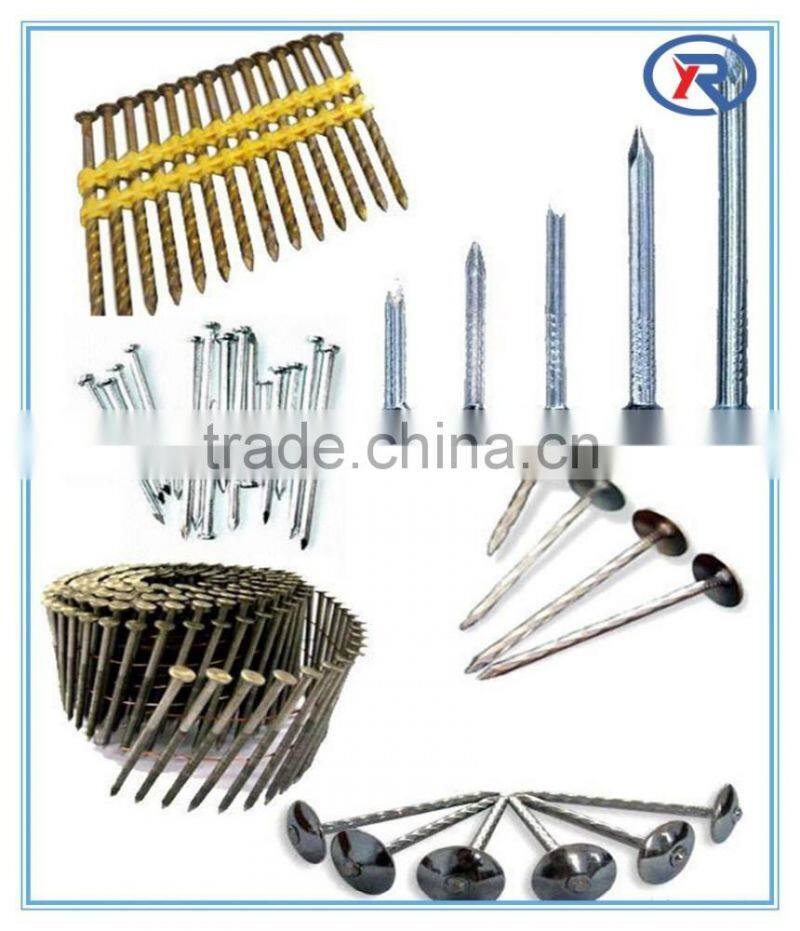 Hardened Steel Galvanized/Black Concrete Nails From china factory