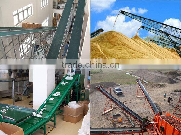 inclined bag loading conveyor