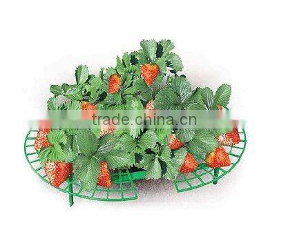 strawberry support 5pc/set