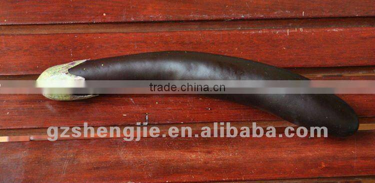 2012 new design Artificial beautiful Eggplant Vegetable