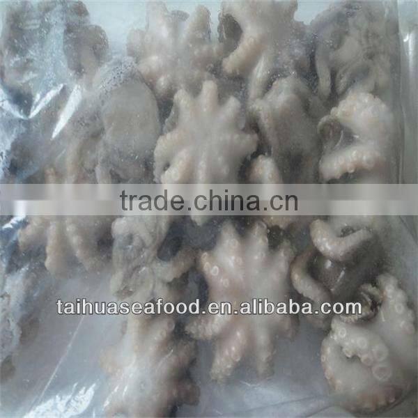 best sea frozen baby octopus iqf