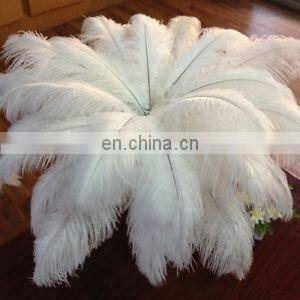 Wholesale South Africa ostrich feathers for decoration wedding ostrich feathers