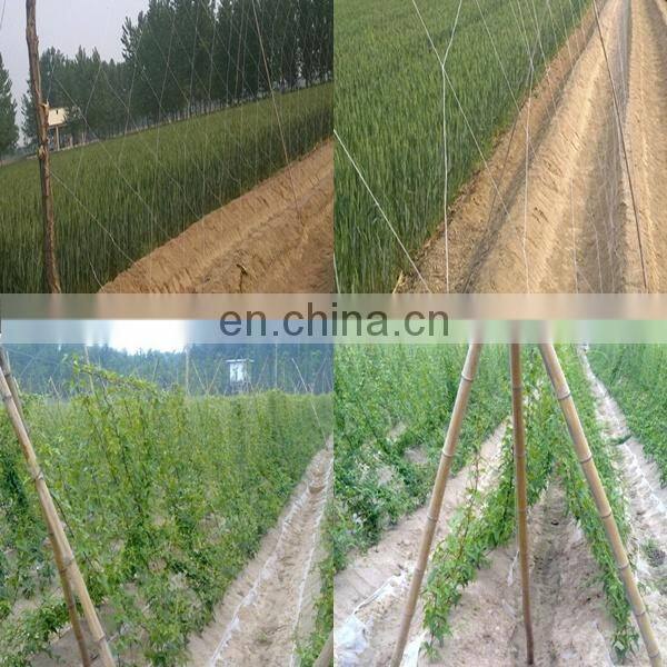 cucumber trellis netting